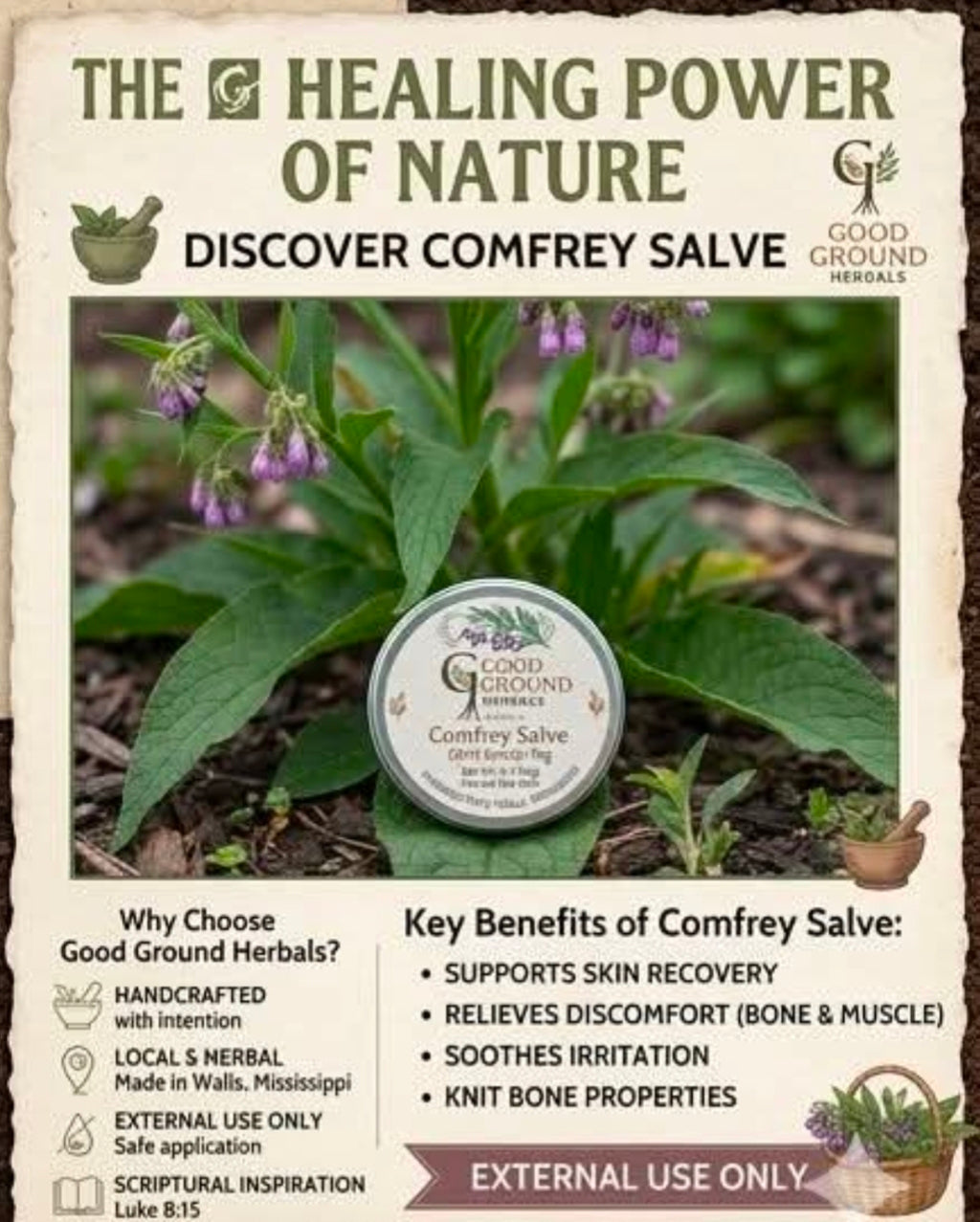 Comfrey Salve